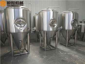 500L Craft Beer Fermentation Tank Til salgs